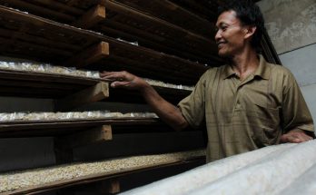 Pekerja pembuat tahu dan tempe di Pemukiman Industri Kecil (PIK) Primkopti Sentra Tahu dan Tempe Semanan, Kalideres, Jakarta Barat. (Foto-foto : Kuncoro Widyo Rumpoko)